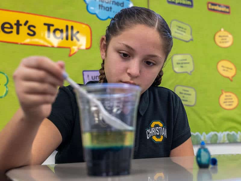 Ontario Christian students are taught college preparatory curriculum from a Biblical perspective.