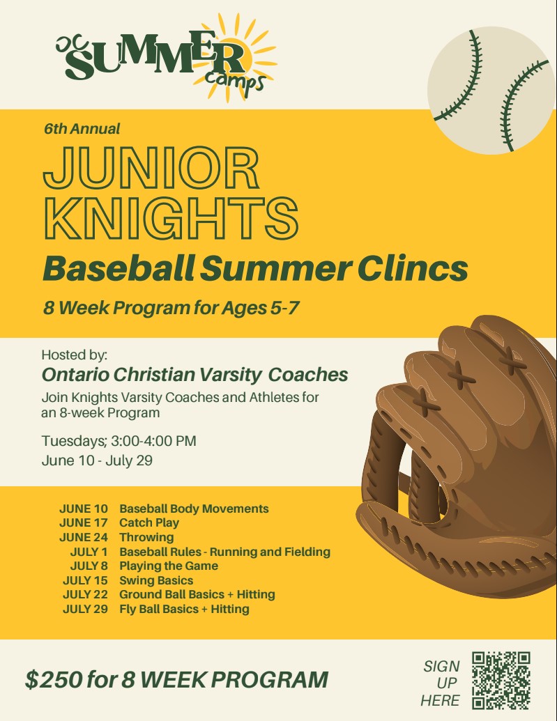 baseball summer camp flyer