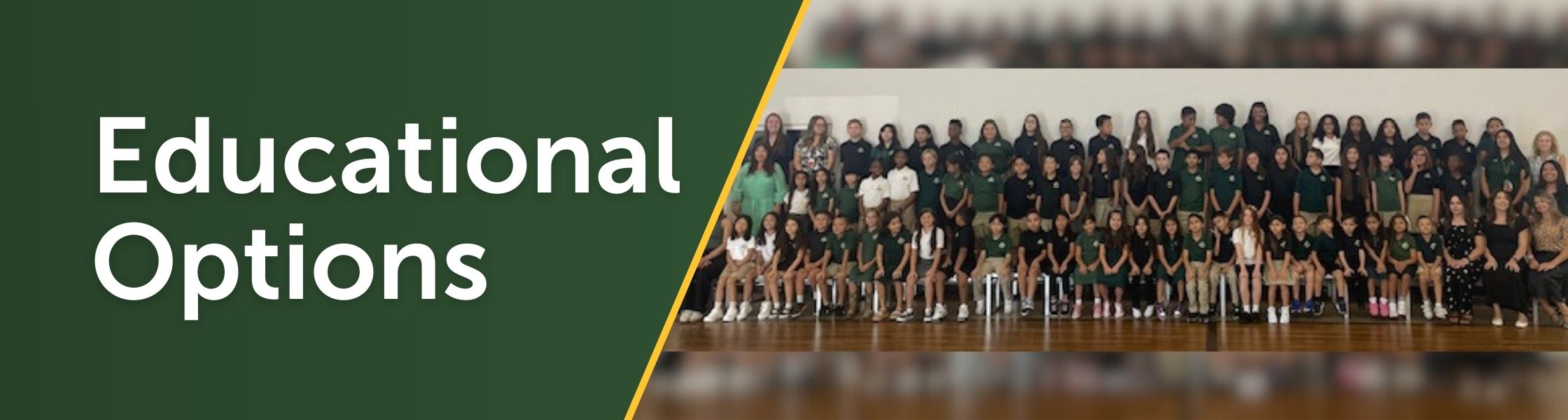 Educational Options CC Banner