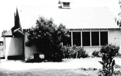 What Is a Reformed Worldview?